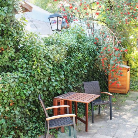 Ein kleiner Gartentisch mit Stühlen, umgeben von grünen Sträuchern und bunten Beeren.