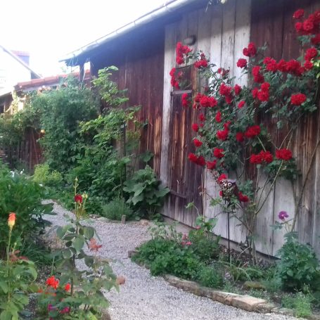 Holztisch und Stühle vor einer grünen Hecke mit roten Beeren und einer Laterne.