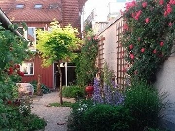 Ein blühender Garten mit Sträuchern, einem kleinen Baum und einem roten Haus im Hintergrund.